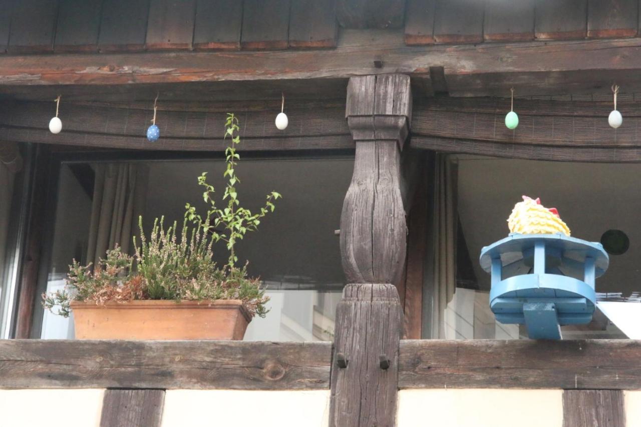 Gerberhaus Cottbus Daire Dış mekan fotoğraf
